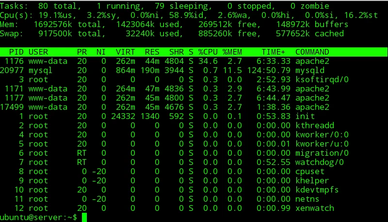 Server memory usage screenshot