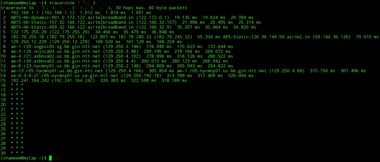 Traceroute output showing high network latency